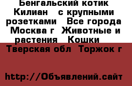 Бенгальский котик Килиан , с крупными розетками - Все города, Москва г. Животные и растения » Кошки   . Тверская обл.,Торжок г.